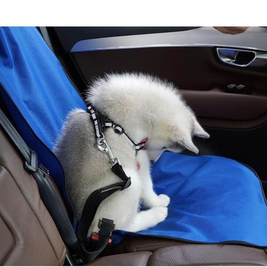 Protection Voiture Chien - PawShieldMat™ - Bleu
