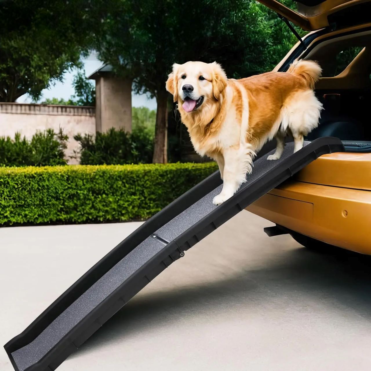 Rampe pour Chien - RideRamp™- Gris