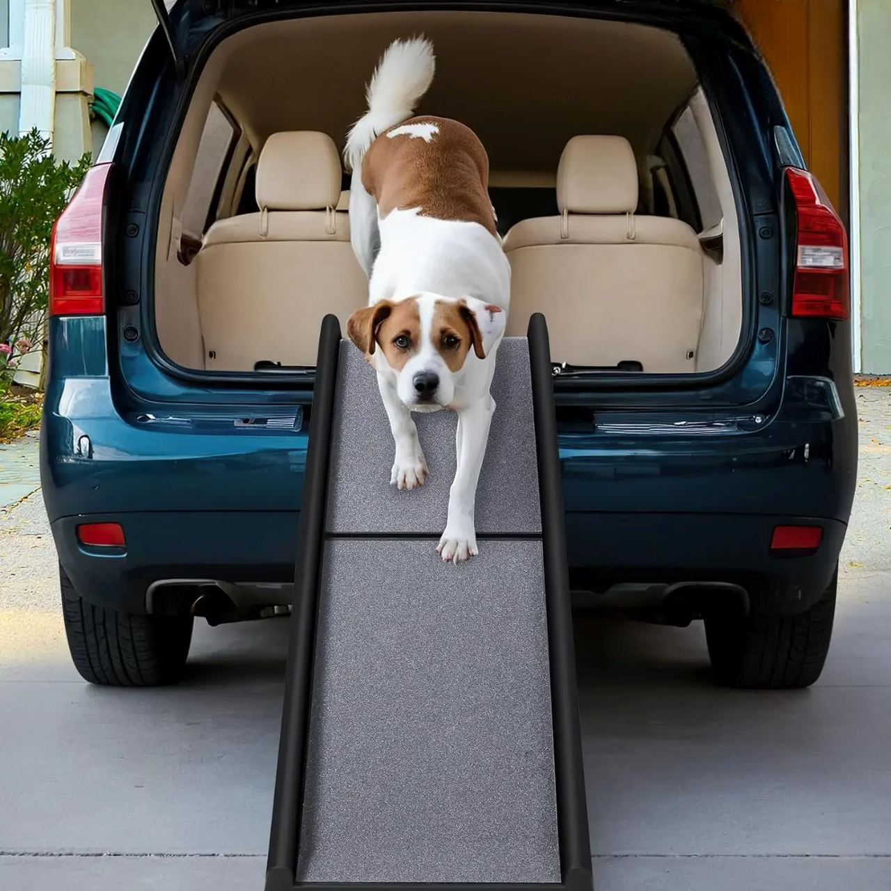 Rampe pour Chien - RideRamp™- Gris