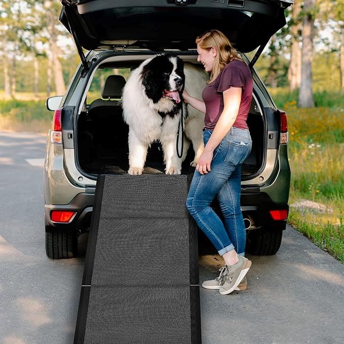 Rampe pour Chien - RideRamp™- Gris